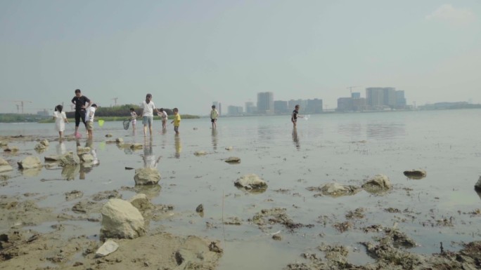 一群孩子和家人在沙滩河边玩水玩耍大景回忆