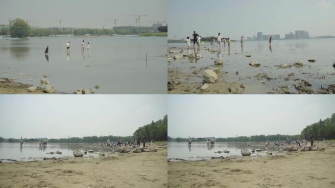一群孩子和家人在沙滩河边玩水玩耍大景回忆