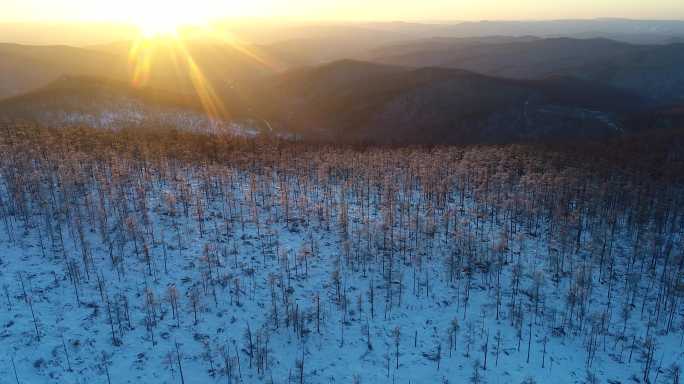 航拍大兴安岭冬季山林雾凇夕照