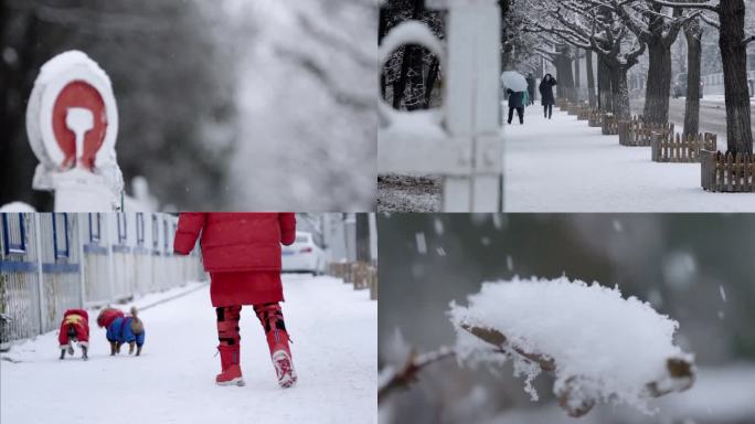 冬（2）：雪中街景、行人、狗、植物