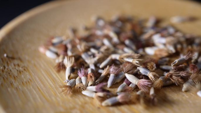 矢车菊种子四季鲜花种子园丁花园植物种植