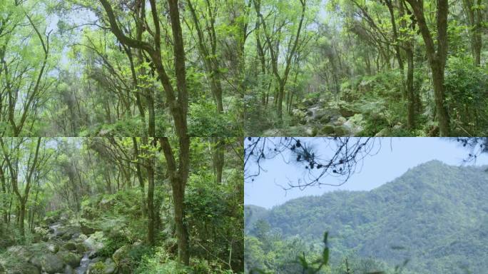 生态环境 青山绿水 美好生活 秀美景色