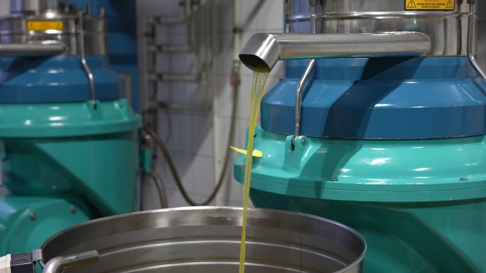 特级初榨橄榄油的生产，冷加工。