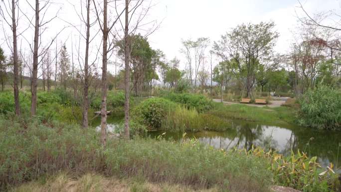 重庆城市生态公园广阳岛