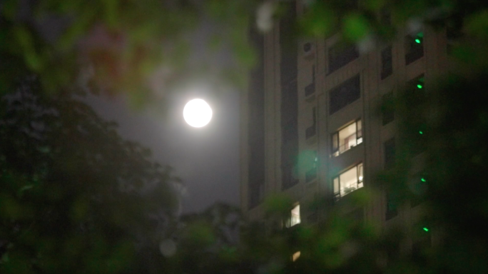 窗外月亮 安静夜晚 月亮