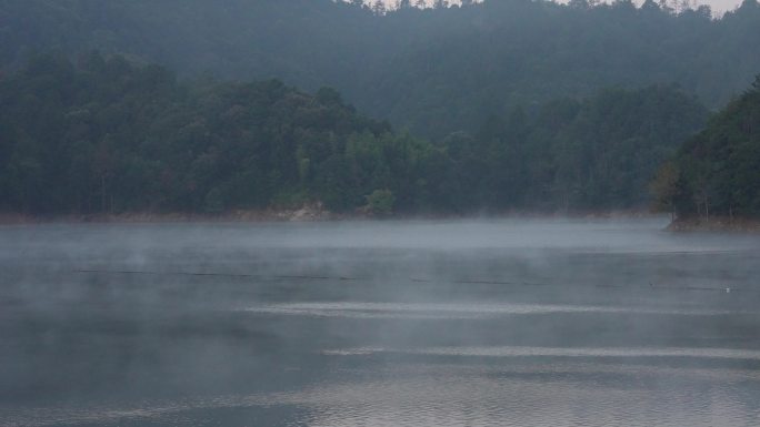 山水浙江美丽水面湖面水气雾气自然生态水鸟