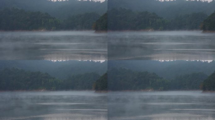 山水浙江美丽水面湖面水气雾气自然生态水鸟