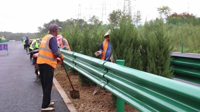 高速公路绿化种植园林绿化施工