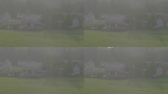 雾里的田园风光
