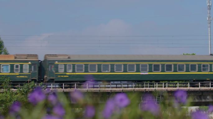 绿皮火车经过花海