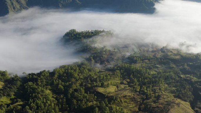 雾雨林或热带森林环境旅行社国际