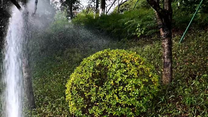 园林绿化浇水养护过国庆实拍视频
