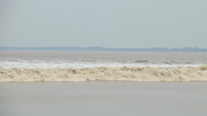 钱塘江大潮，日潮，一线潮