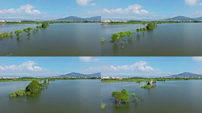 【正版素材】玉溪江川湿地公园航拍0480