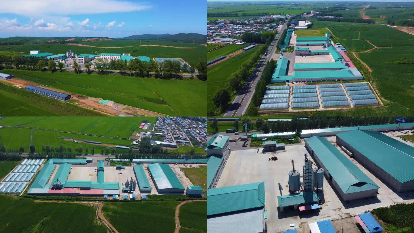 五常大米种植加工厂