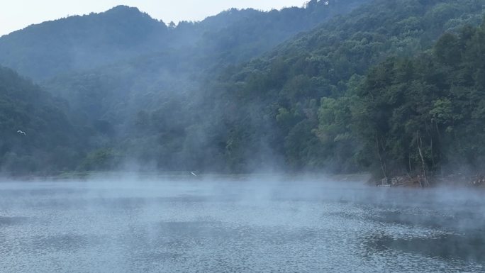 航拍山水浙江水面湖面水气雾气晨雾水鸟白鹭