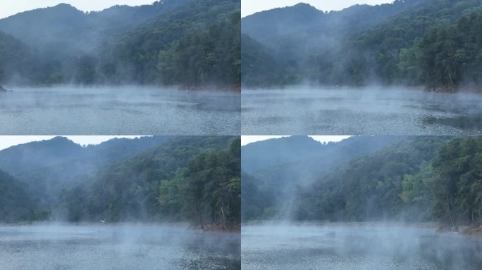 航拍山水浙江水面湖面水气雾气晨雾水鸟白鹭