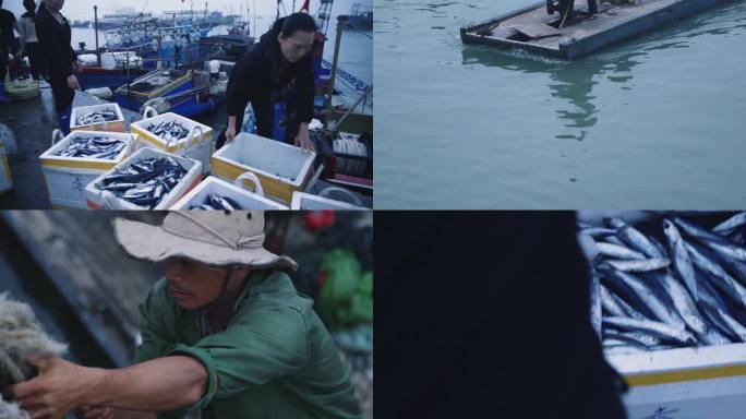 清晨海港渔民们渔船靠岸上岸收鱼卖鱼
