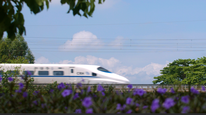 花海 动车 高铁