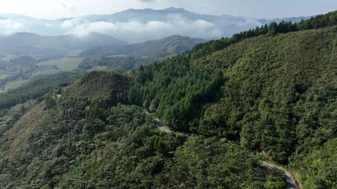 乡村盘山公路