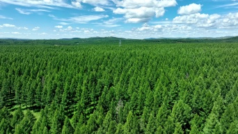 塞罕坝林场航拍视频素材