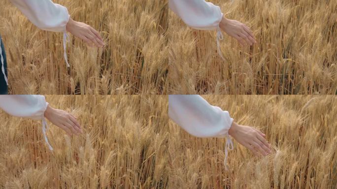斯洛莫，一位年轻女子，手抚摸着田里一棵长满小麦的树