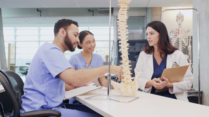 男医学院学生在观看脊柱模型时讨论人类脊柱
