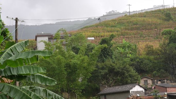 云南农村山林大山深处绿水青山阴天