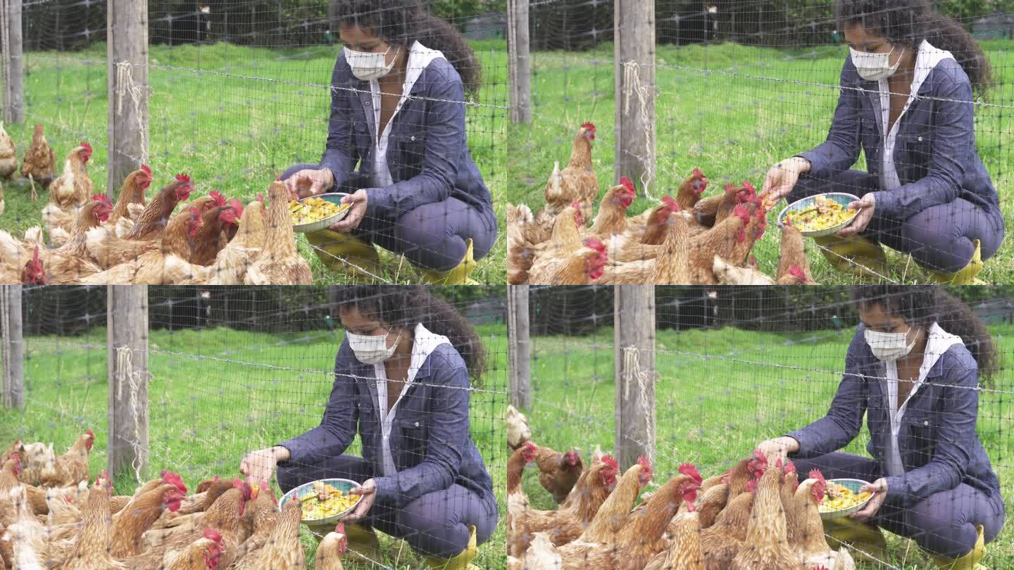 covid大流行期间，一名卷曲的黑发妇女戴着口罩在农场养鸡
