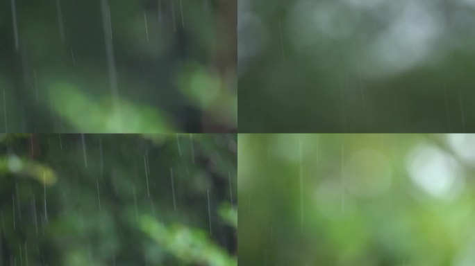 12款下雨天绿色背景雨丝焦点慢动作空镜