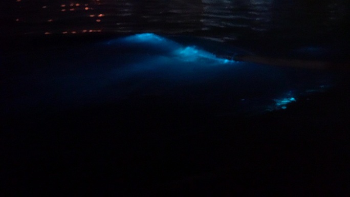 威海高区小石岛港湾的荧光海