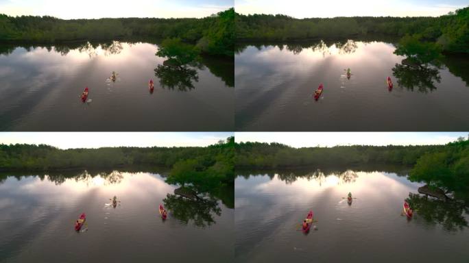 日落场景：一组游客或研究人员的鸟瞰图。划桨，划船，独木舟，在淡水河湖中划皮划艇，以发现和探索泰国潘加
