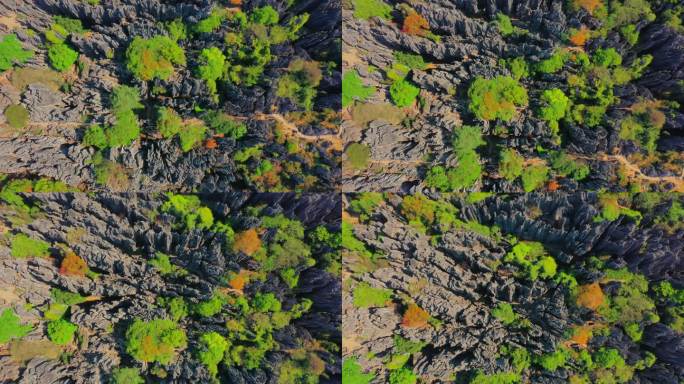 昆明石林4K高清