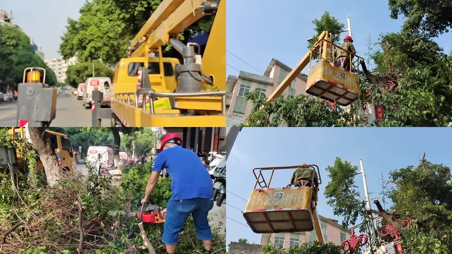 社区环境街道锯树枝园丁修剪树木修剪绿植