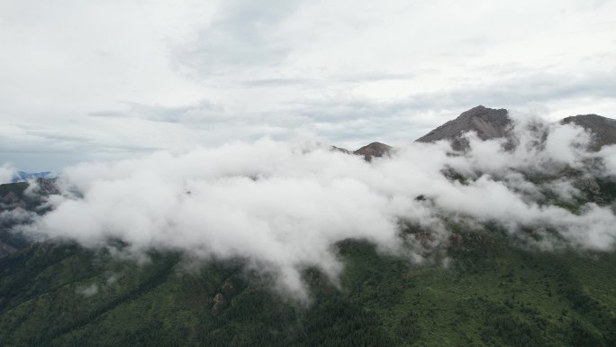 高山 云雾 美丽中国 宏伟 广阔