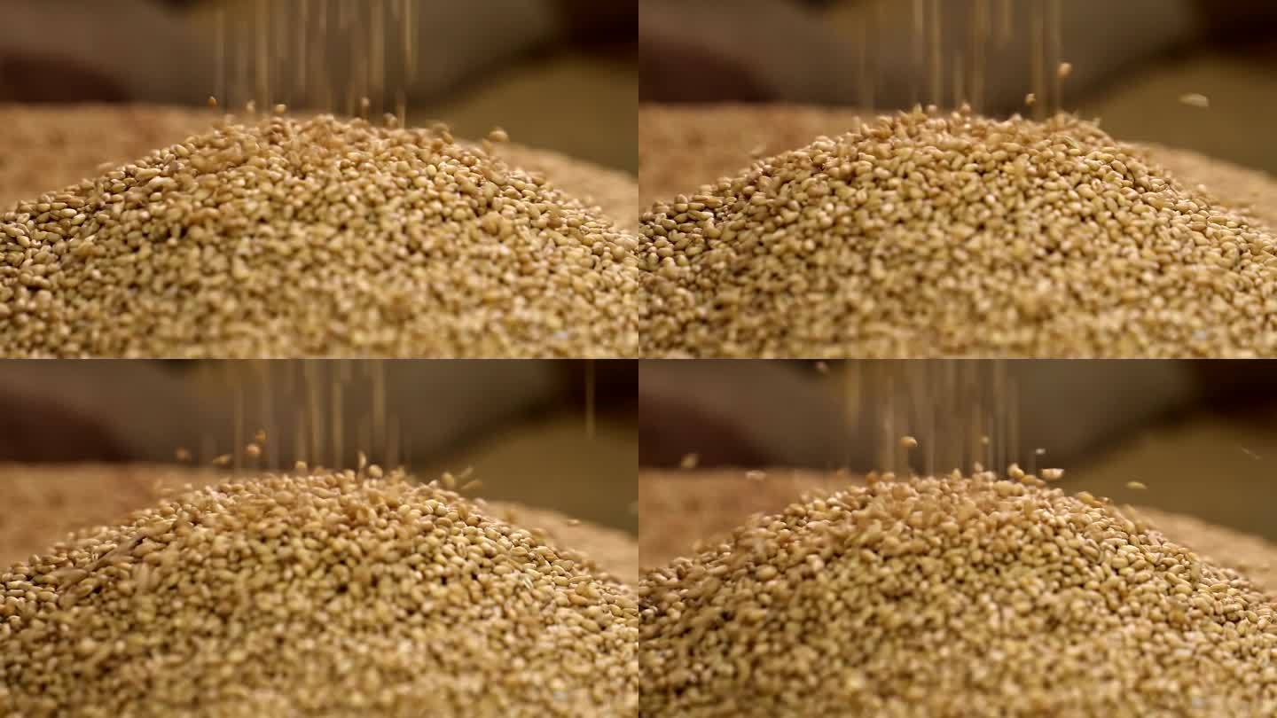 粮仓、丰收、小麦落下4K高速摄影