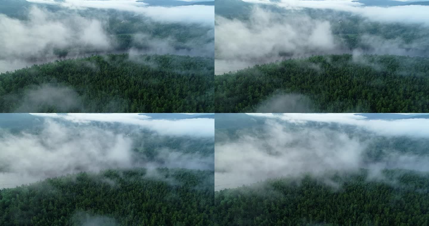 航拍森林河流晨雾缭绕