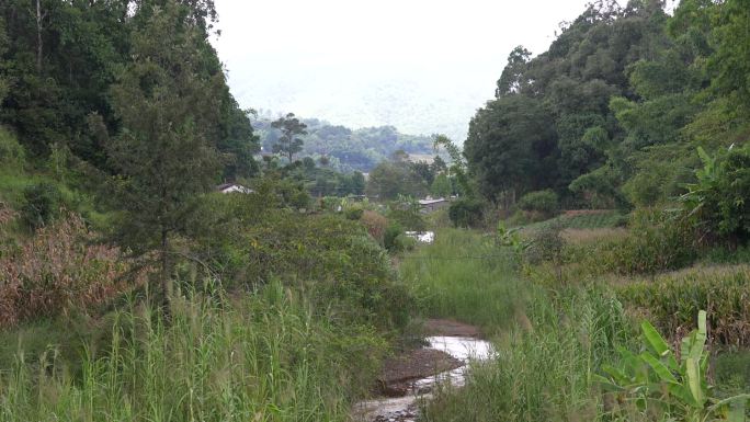 云南农村山林大山深处绿水青山阴天