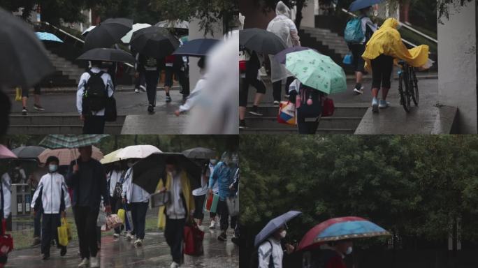 学生开学 学生上学雨天上学 开学日进校门