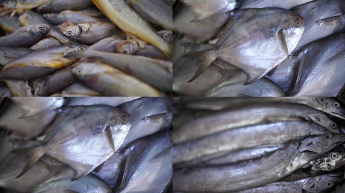 海鱼 刀鱼 金鲳鱼