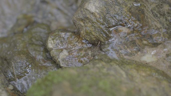 河流小溪青草泉水河边河水溪流合集