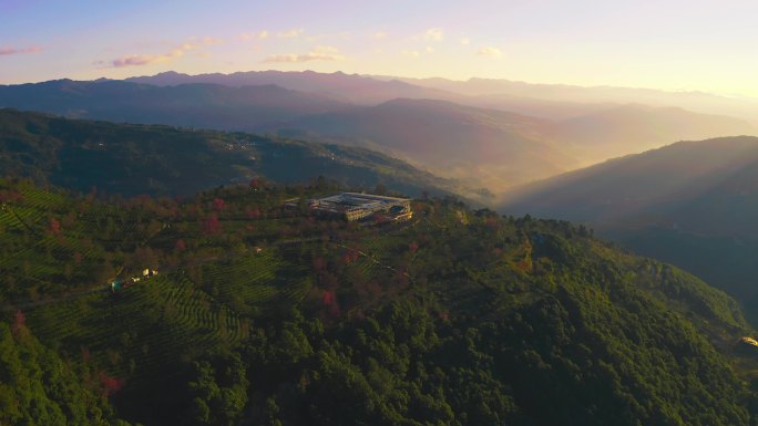 大理无量山樱花谷冬樱