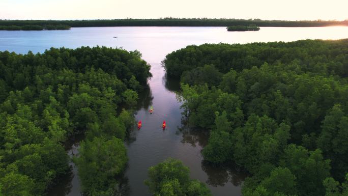 日落场景：一组游客或研究人员的鸟瞰图。划桨，划船，独木舟，在淡水河湖中划皮划艇，以发现和探索泰国潘加