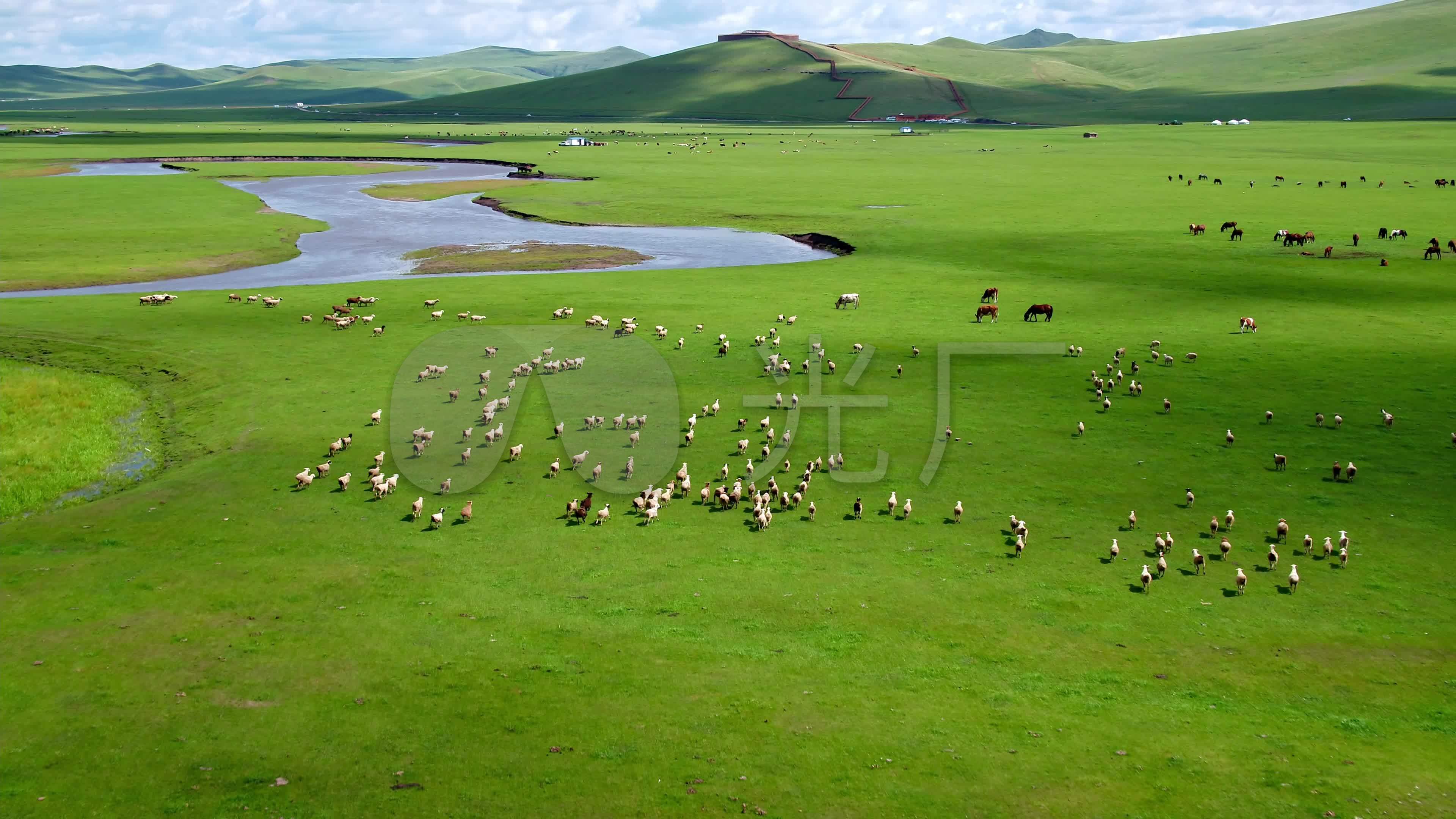 美丽草原牛羊成群-中关村在线摄影论坛