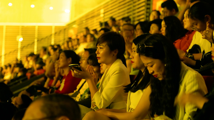 台下观众实拍素材2