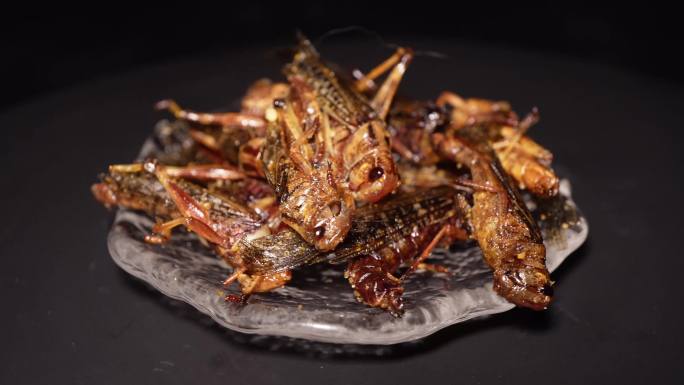油炸蚂蚱蟋蟀食用昆虫