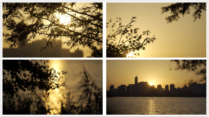 夕阳逆光唯美空镜