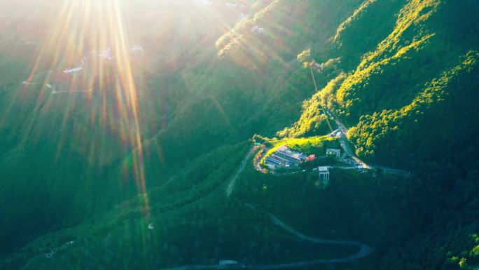 大理无量山樱花谷冬樱