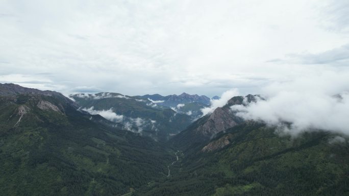 高山 云雾 美丽中国 宏伟 广阔