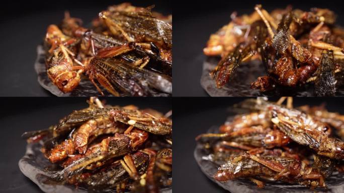 油炸蚂蚱蟋蟀食用昆虫